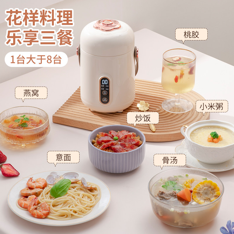 电炖锅小型多功能小炖锅电煮锅煲汤煮面煮粥神器家用上班族电炖盅