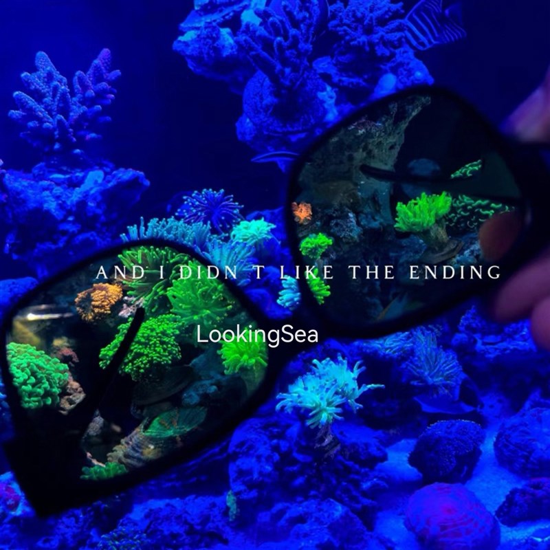 珊瑚眼镜海缸珊瑚滤镜观察镜过滤蓝光防蓝光护眼镜夜视镜海水缸