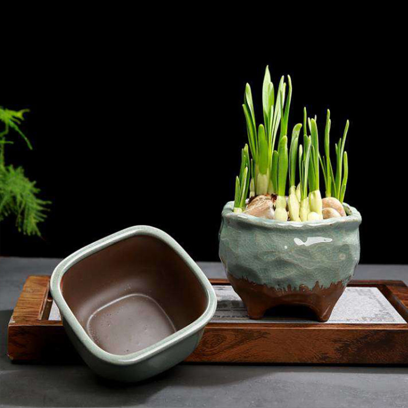 招财铜钱草水养水培花盆哥窑四方形无孔水仙花盆陶瓷专用盆一叶莲