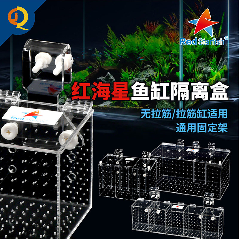 红海星鱼缸隔离盒内置置物盒防打架亚克力训食盒淡海水通用孵化盒,宠物/宠物食品及用品,其它水族用具设备,淘宝优惠券,粉丝福利购,淘宝优惠卷