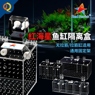 红海星鱼缸隔离盒内置置物盒防打架亚克力训食盒淡海水通用孵化盒