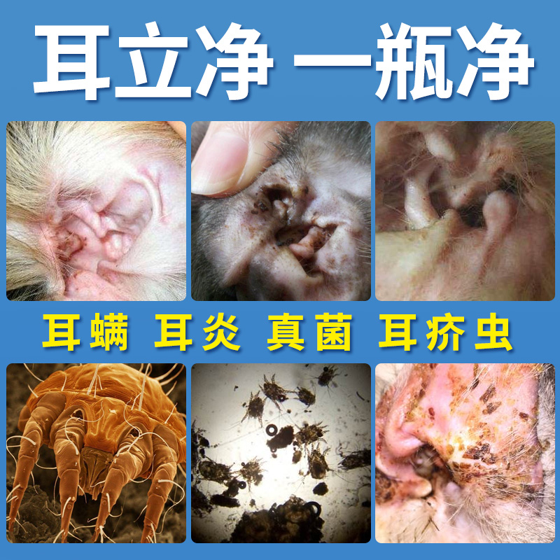 狗狗耳螨滴耳液泰迪猫用耳螨狗滴耳油宠物用品耳朵清洁猫咪洗耳液