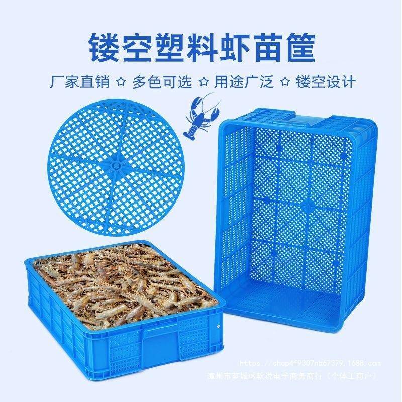 新周筐转塑料长无品牌/方形甲镂空龙虾虾活苗虾运输筐鱼蔬菜水果