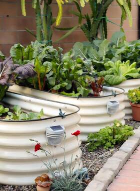 户外阳台种菜箱专用箱菜金彩色金属园属花箱花床种花框菜床楼顶园