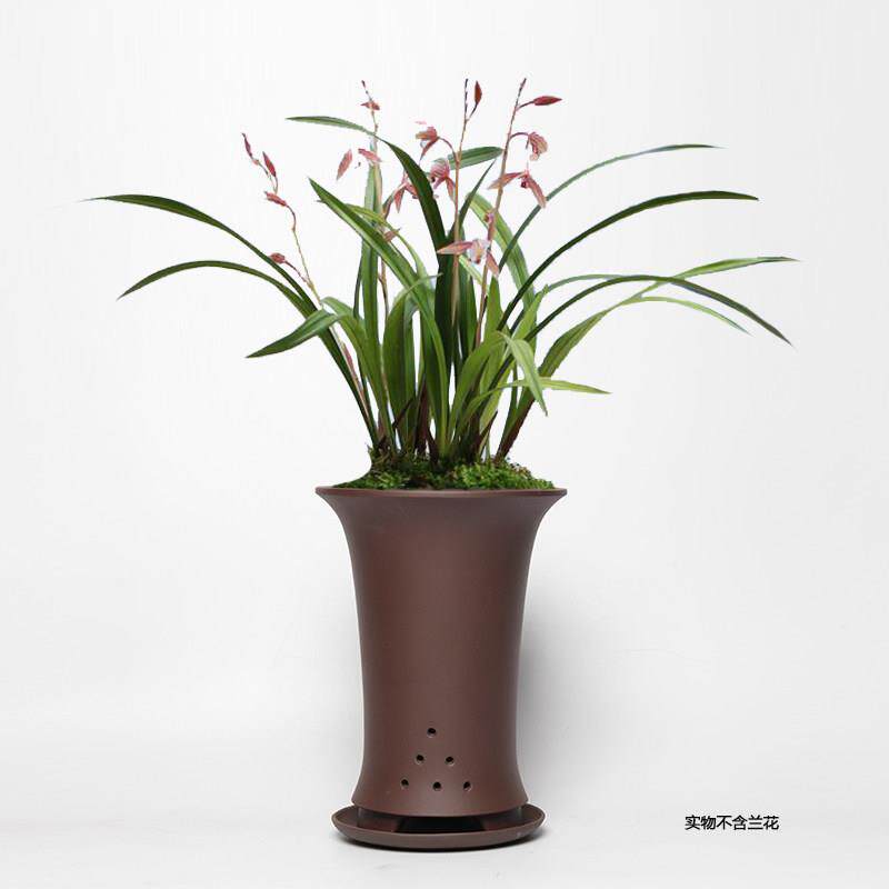 蔓木人紫砂宜兴紫砂花盆兰花盆精品手工古典素面桌面建兰托盘
