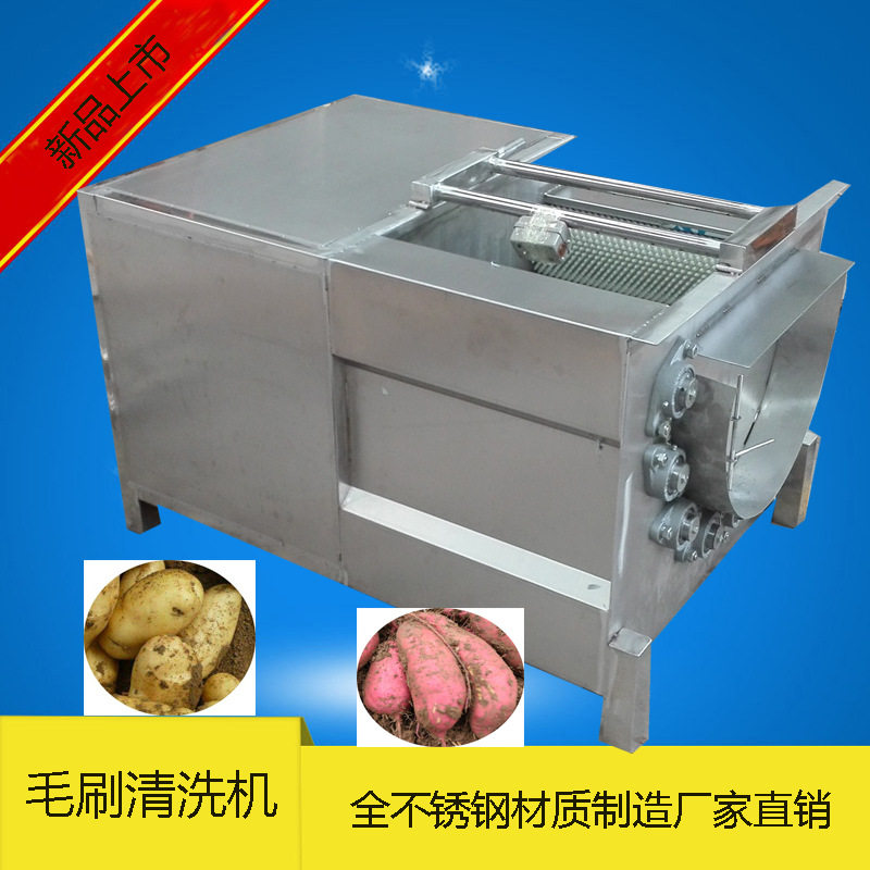 诸城三七清洗机 云南三七 玛卡清洗去泥机 毛刷磨蹭清洗去杂干净