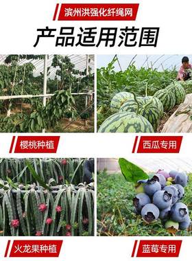 生姜平针遮阳网黑色老化水防晒平CGP阳织网蓝莓蔬菜果抗大棚农用