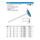 2498瑞596 Gedoe吉多19553T型内六角扳手DT21r422 现货