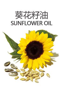 葵油花籽KG起批冷榨油植物油基础基MKK底1油原料天源厂家