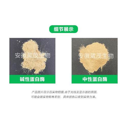 性蛋白酶洗衣液专用固体蛋白质水解酶酸性碱蛋白食品级酶中性白蛋