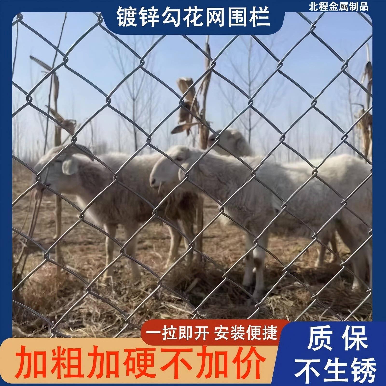 厂家热围锌围栏网果园养拦殖勾花网养鸡网鸡网铁丝网牛JHG羊镀网