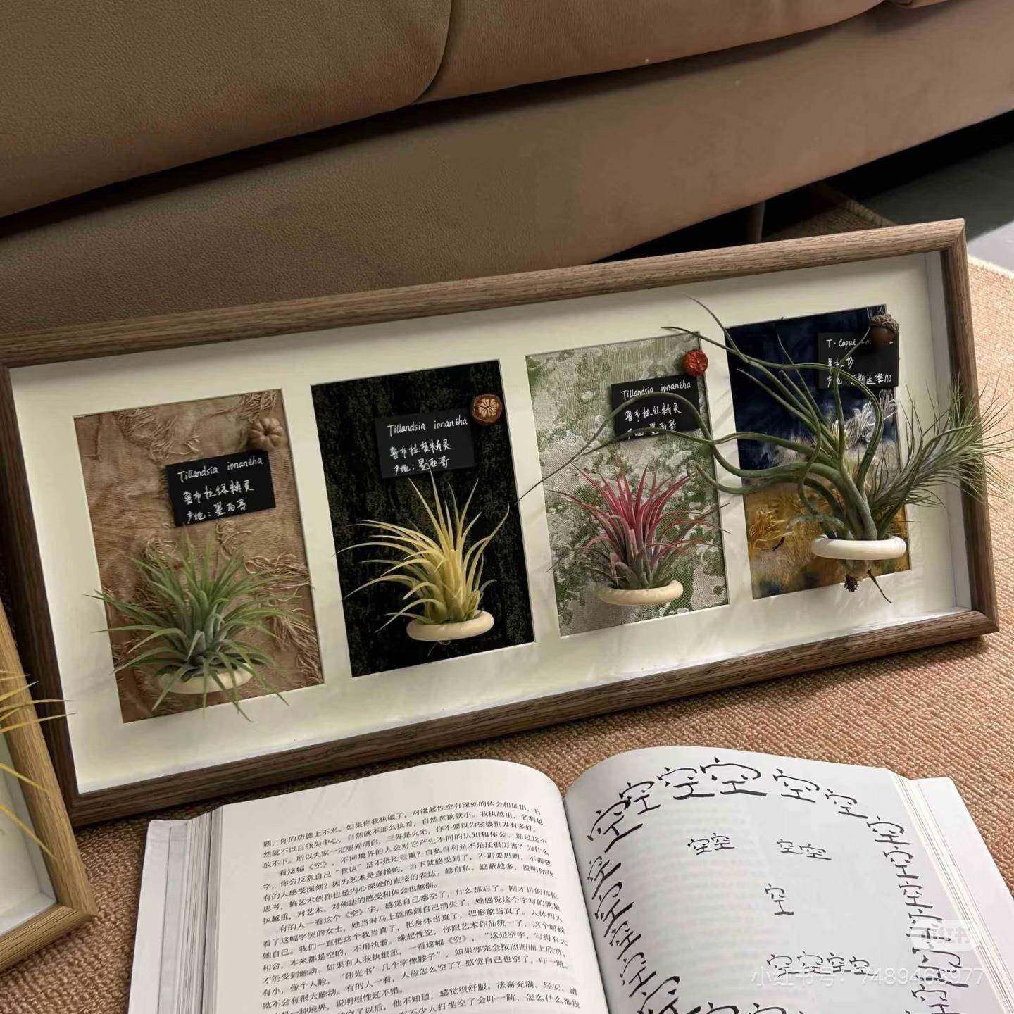 空气凤磁吸软相饰框梨摆件装办公1570室绿植桌面装饰画现代装绿植