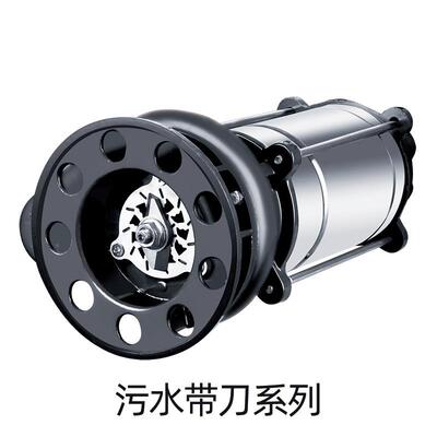 潜水泵220v小家型用扬水744程抽水泵农用灌溉抽机不锈钢高排污泵