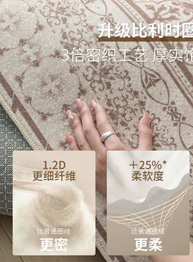 擦客厅地毯025JR202508新款波斯风免洗可沙发几茶垫卧2室家用防水
