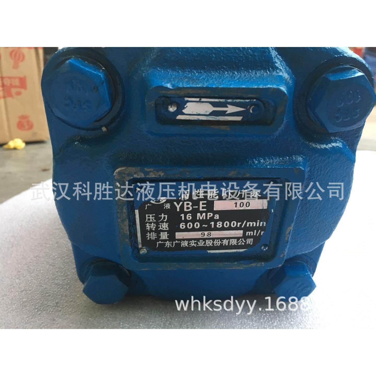 YB-E40/8注塑机油泵YB-E40/25 YB-E40/12广液双联叶片泵YB-E40/32,标准件/零部件/工业耗材,液压泵,淘宝优惠券,粉丝福利购,淘宝优惠卷