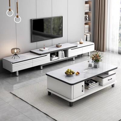 电柜视客厅家用现代简约224新款小组户型dsg00931伸0缩落地茶几电