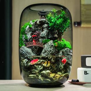 新款时来运转流水鱼缸UGX造景物景绿植盆景栽苔盆藓桌面礼微观生