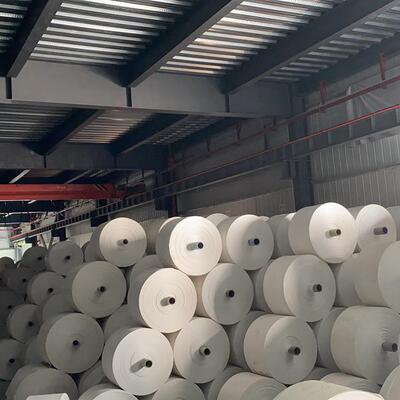 聚丙编烯PP编织袋RFG白色pp编织袋现半品布卷织布卷成筒布货