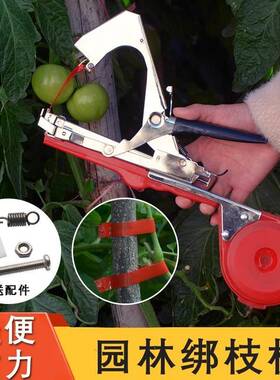 绑西枝绑枝器绑EQV葡萄红柿番茄黄瓜爬绑藤神器藤蔓机钉子胶带捆