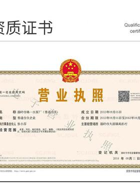 泵家用自来水2水增压泵污水自吸泵20v电高扬程水井JOJ抽水水塔泵