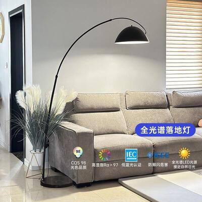 护眼极简鱼钓落地灯62864卧室轻客厅沙发边角艺氛围北欧奢术立式
