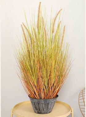 厂家直销森系婚布置仿礼真假花景盆家居装饰H16189仿真洋葱草狗尾