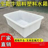 料水箱443长方形筋牛加厚号浅盆周转大箱纺织箱养鱼养龟塑水产养