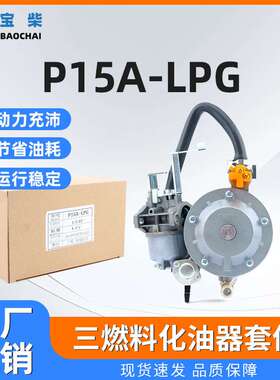 P15A-LPG三燃料化油器套件 GT241 154F 156F 发电机零件