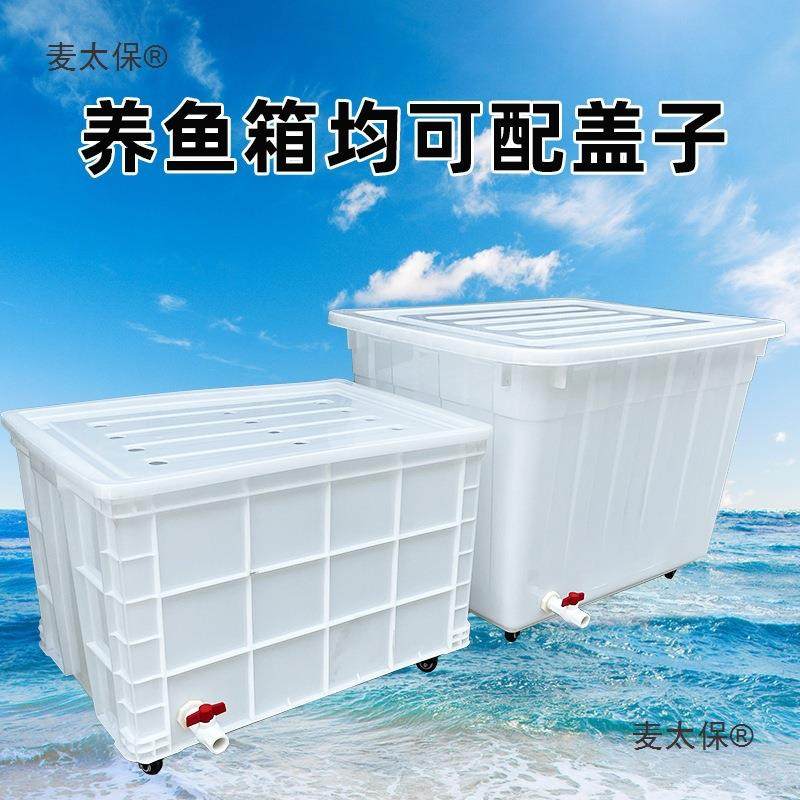 排水养656口带带带孔水产桶养殖周箱转特大号轮子龟水带箱鱼轱麦,收纳整理,收纳箱,淘宝优惠券,粉丝福利购,淘宝优惠卷