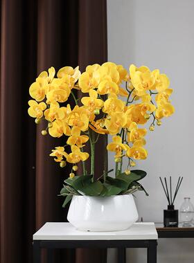 蝴大盆PU手感兰F96S8HT7花艺摆蝶件客厅茶电几视柜摆设假花装饰