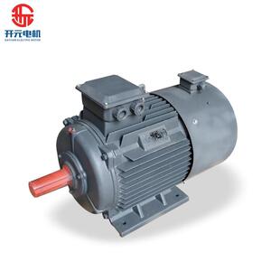 元 4k械w水泵机塑料设备SEL380V马 电机YV5F2系列三相异步电机开30