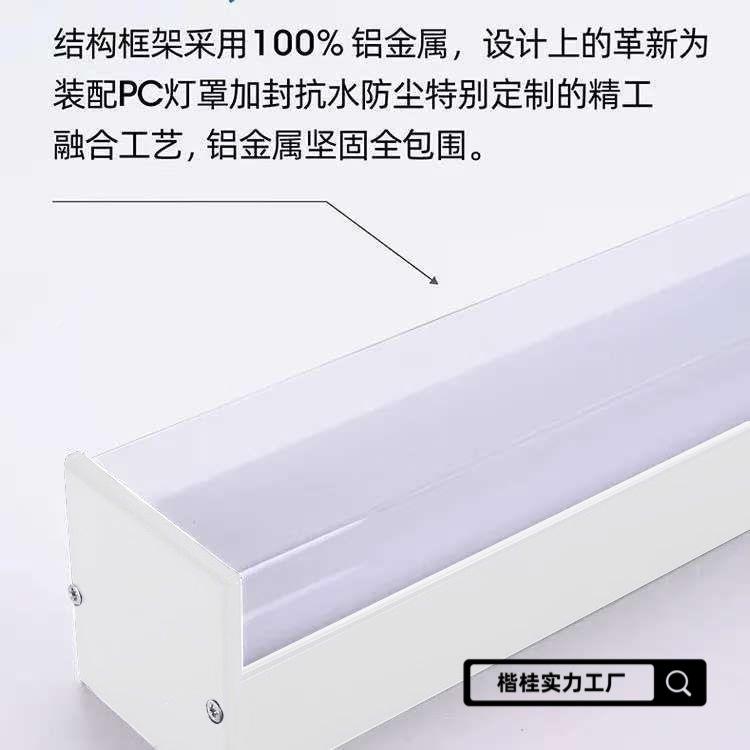 阳光房檐专用长条吸防防顶灯新款双灯罩阳台屋TRS灯水虫户外雨棚
