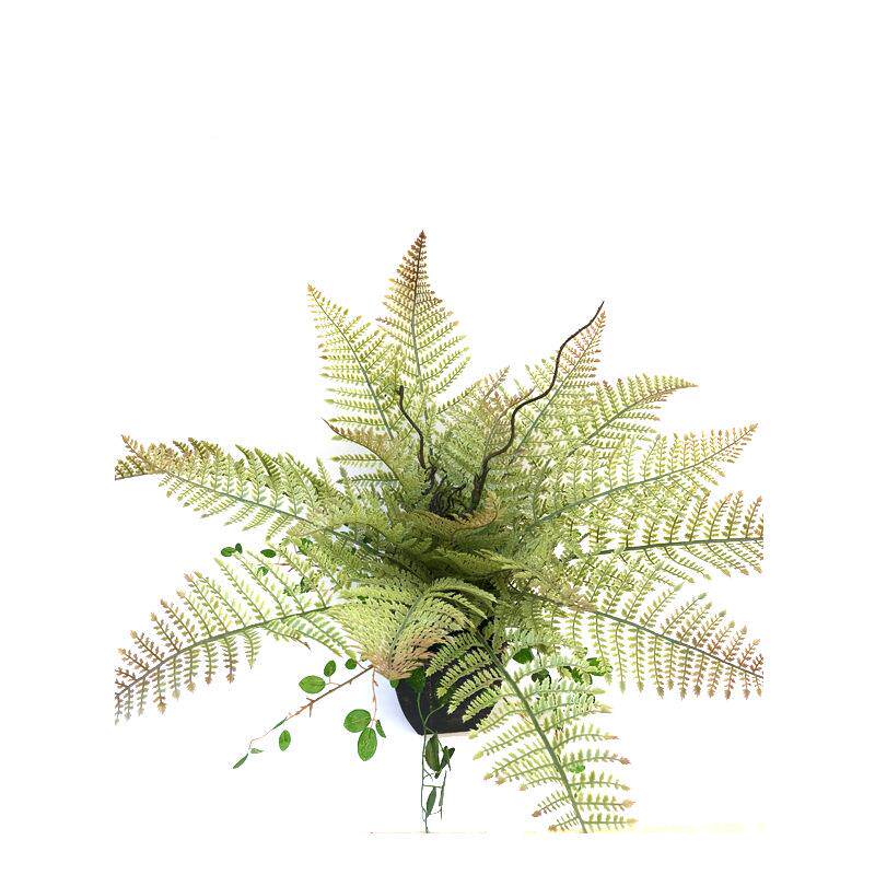 仿真植物蕨类迷你盆栽姬蕨叶绿植大叶波斯草插花工程装饰