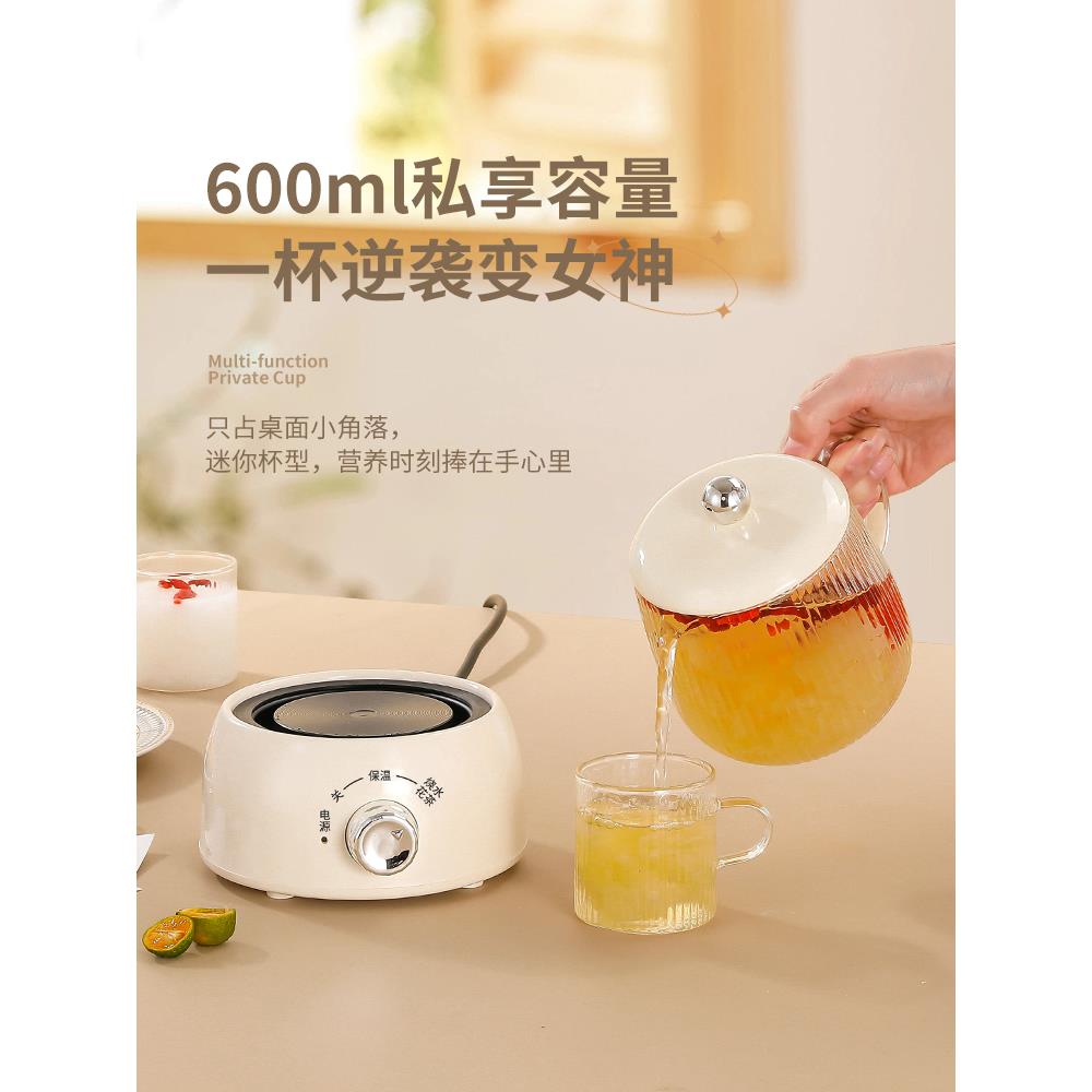 养生壶家用多功YS-3605能玻璃茶器煮水花茶壶小烧型办公保室温迷