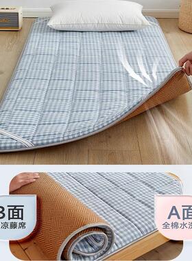 小尺寸定60托x180mc婴儿cjy25711夏季午睡凉席床垫宿舍单人午 托