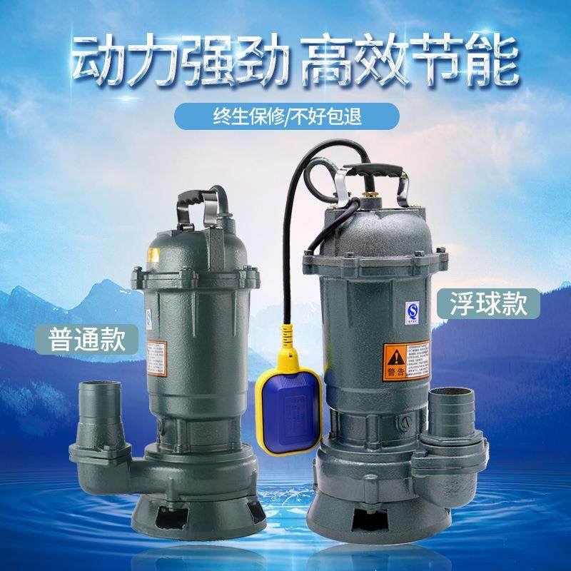 用排污泵污水抽泵22AVS0水泵家高扬程水泵农用v灌溉家污水提升泵