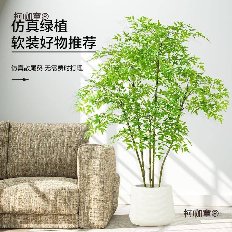 植物南竹落轻地盆柯咖童栽内大型仿生绿室植摆件天客厅奢装饰花假