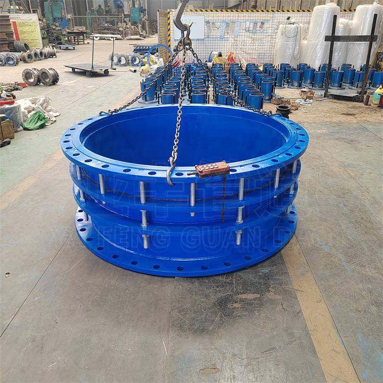 B2F双法兰限位伸缩接DN2型53390管路补偿接头厂家头现货