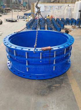 B2F双法兰限位伸缩接DN2型53390管路补偿接头厂家头现货