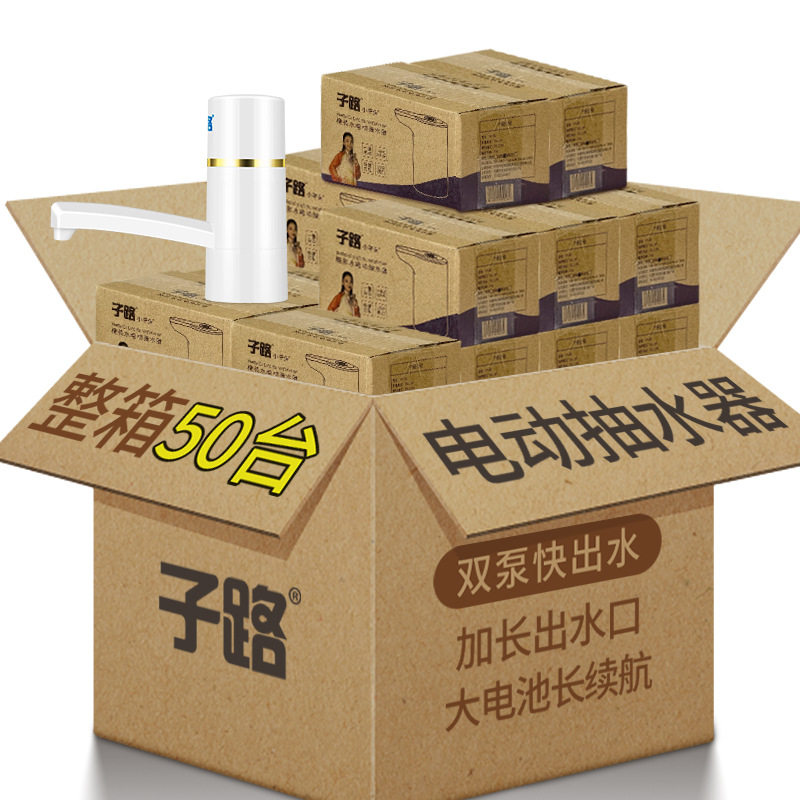 子路双泵电动抽水器充电整箱