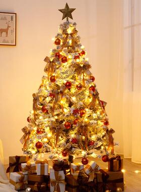 B白色诞树家圣加套餐1.5/1用.8/2.1/243米4密植绒落雪圣诞场景装