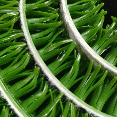 金青岛厂家淘金沙工沾草进金毯具吸金布草010收金直销