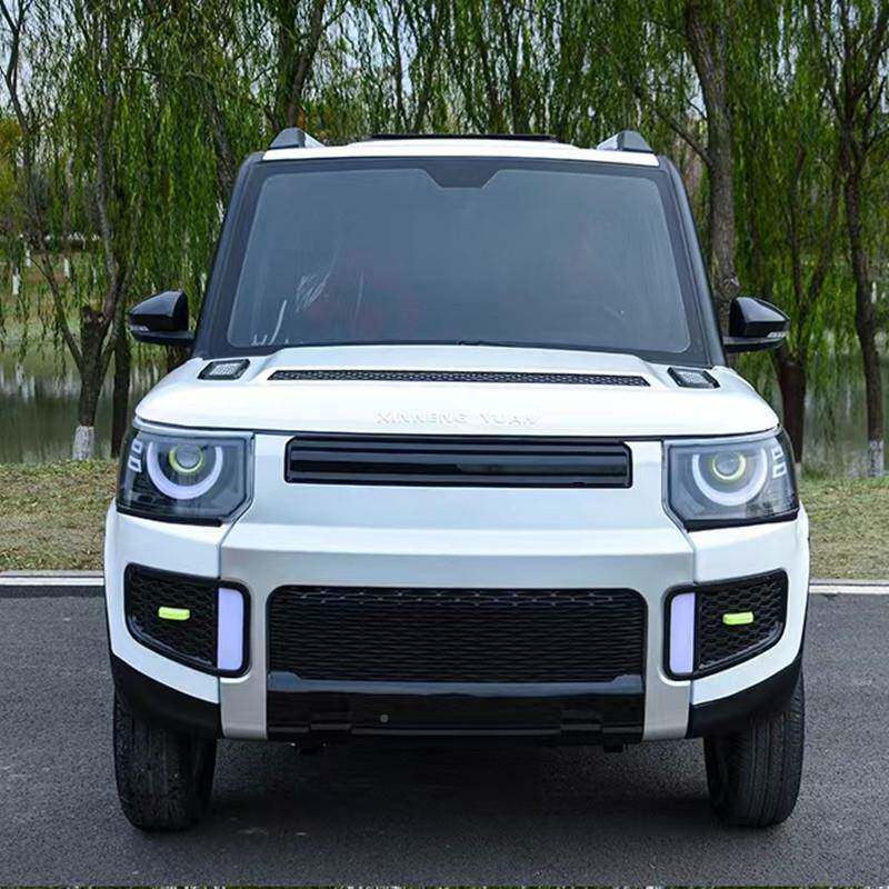 高端电两用家用电动轿车油封闭轮式电动四车老年代211步车