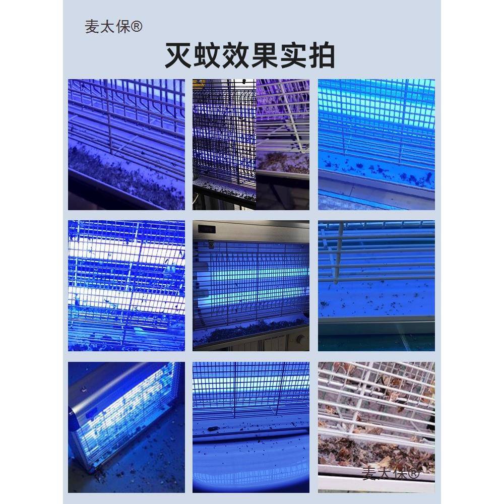 技灭蝇灯商铺用挂墙厅灭饭餐店商用苍蝇机壁挂式灭麦太保科蚊麦太