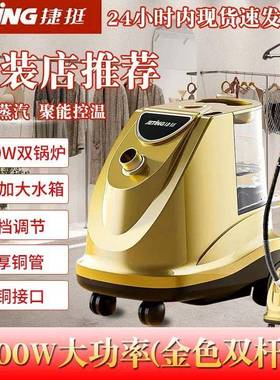 品质大蒸汽挂烫机TFV商用服熨店装烫衣服熨机烫立式大功率斗