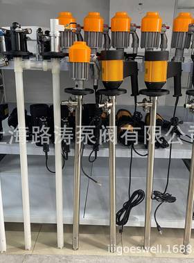 路涛D-2-WGDVH+SS30E-15040HP电动插桶泵手提式化工抽液泵电动抽