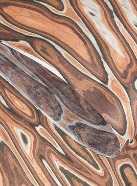 科工技实木皮高档乐家意具音箱51655器柜门饰面板装修翻新创手模型贴皮