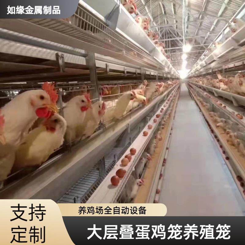 热镀锌大层叠蛋鸡笼全自动喂料饮水清粪降低人工成本,畜牧/养殖物资,特种养殖设备,淘宝优惠券,粉丝福利购,淘宝优惠卷