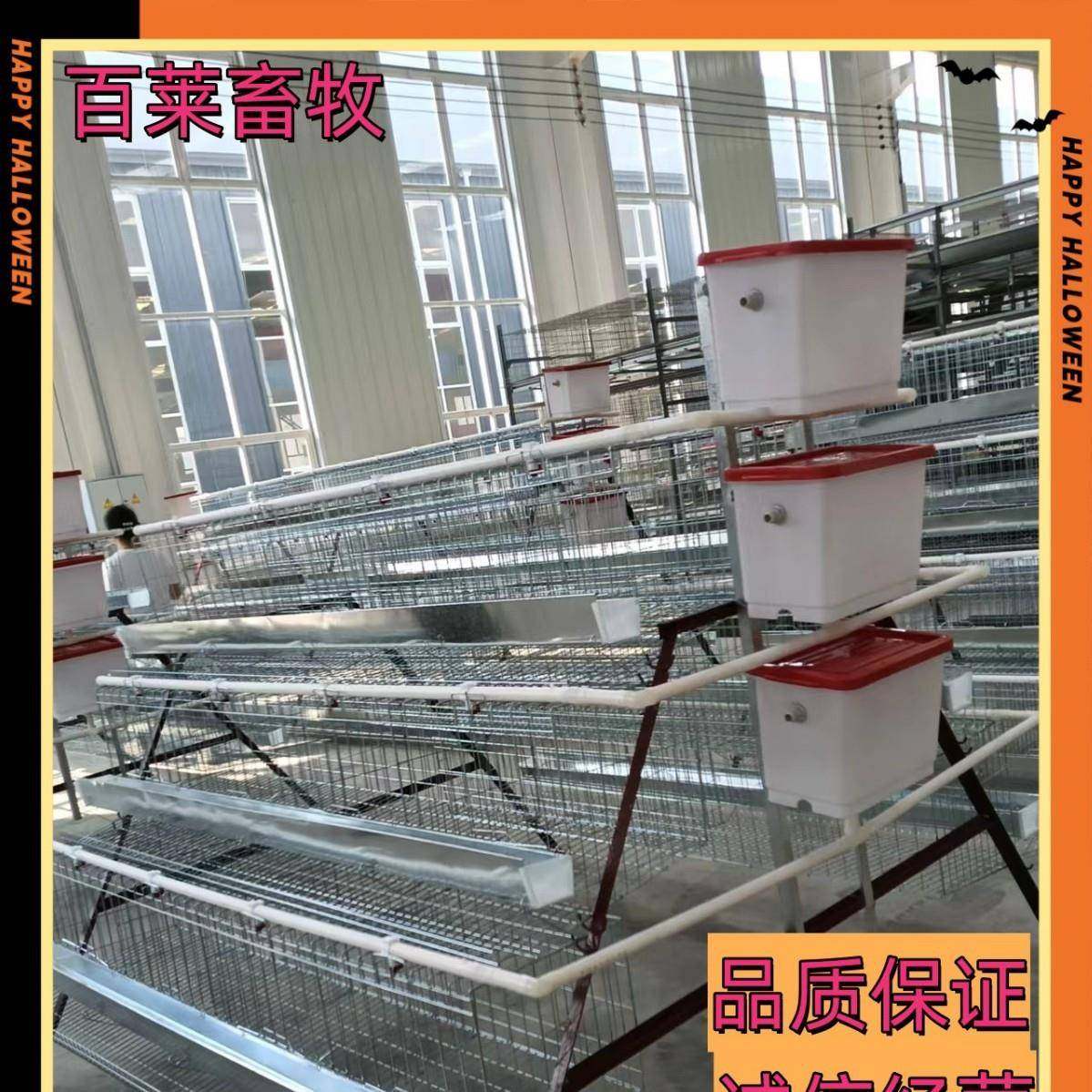 阶梯蛋鸡笼热镀锌耐腐蚀耐用商用阶梯蛋鸡笼层间错位防粪便污,畜牧/养殖物资,特种养殖设备,淘宝优惠券,粉丝福利购,淘宝优惠卷