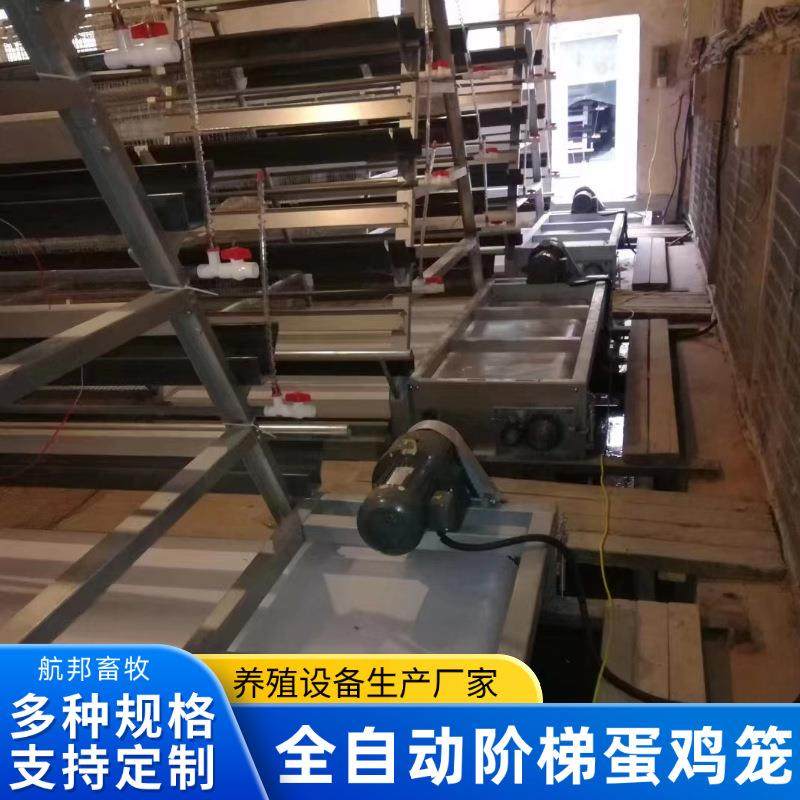 阶梯式加背负式喂料机捡蛋机热镀锌全自动阶梯蛋鸡笼养鸡养殖设备,畜牧/养殖物资,特种养殖设备,淘宝优惠券,粉丝福利购,淘宝优惠卷